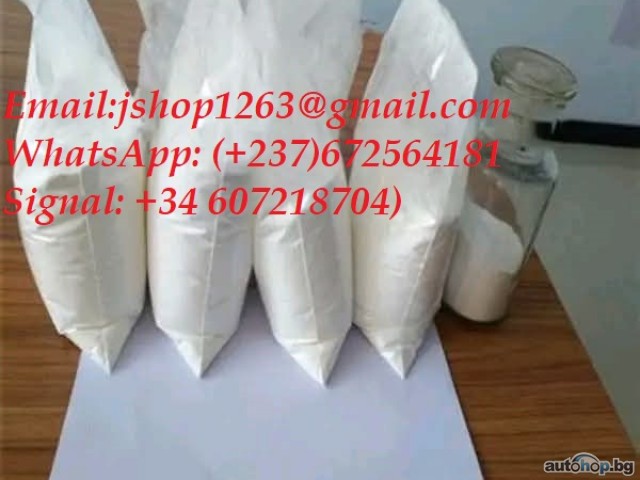 Signal: +(34)607218704) BUY ALBINO PENIS ENVY MAGIC MUSHROOM (APE SPRING) - BEST MUSHROOM SHOP MEDICAL 420 CANNABIS