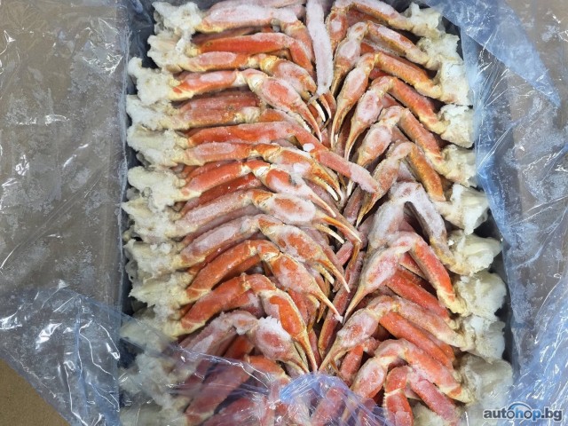 Snow Crab Legs for Sale