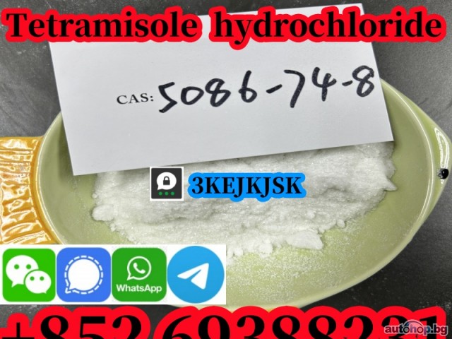 Tetramisole hydrochloride powder Cas 5086-74-8 quality guaranteed best service