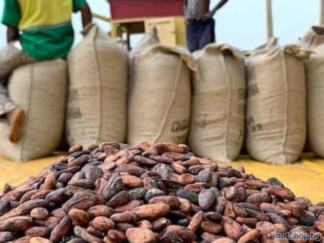 Top Cocoa Bean Exporters Worldwide +27631501216