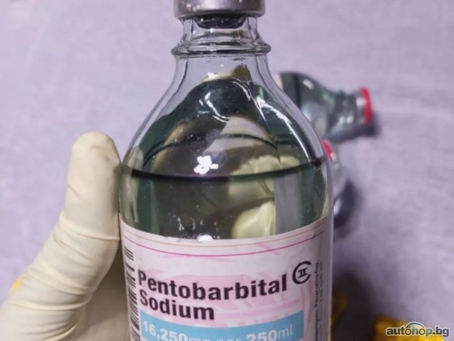+Нембутал, пентобарбитал, ксанакс, оксиконтин, ибога, роксикодон, 4mec, MDMA