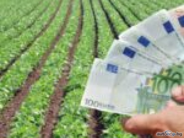 Оферта за заем от взаимни партньори безплатно в рамките на 24 часа