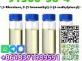 1,3-Dioxolane, 2-(1-bromoethyl)-2-(4-methylphenyl)- CAS 91306-36-4