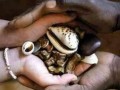 2009 BMW 330 +27782760882 LOVE SPELL CASTER IN KUWAIT BRING BACK LOST LOVER KILL EVIL JINN TRADITIONAL HEALER IN Hatta, Nahwa, Baqal, Maydaq,Randfontein
