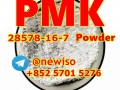 2022 Daimler Benz CAS 28578-16-7 NEW PMK POWDER