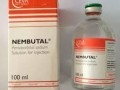 2025 Austin Maestro Buy Xanax/buy Adderall/Nembutal Pentobarbital Sodium
