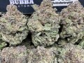 2025 Dodge Ram BUY MARIJUANA WEED AND SEEDS,MUSHROOMS SHROMS ONLINE