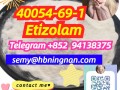 40054-69-1 Etizolam powder high quality