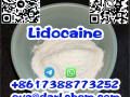 99% Anesthesia Powder CAS136-47-0 Stock Tetracaine Safe Lidocaine Procaine