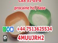 99%+ Pure Procaine HCl Powder Hydrochloride Procaina Em Po Polvo CAS 51-05-8
