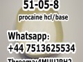 99% Purity Procaina Procaine Procain HCl Hydrochloride