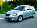 Skoda Fabia GreenLine: 2.2 на 100