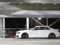 Senner пипна Audi S5