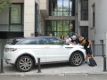 Evoque с подпис Picasso