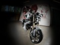 Vilner пипна Ducati Monster1100 Evo