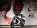 Vilner пипна Ducati Monster1100 Evo