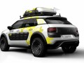 Citroen реши да внесе приключенски дух в C4 Cactus