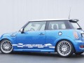 HAMANN “посегна” и на новото Mini