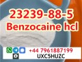 Benzocaine HCL CAS 23239-88-5 vendor Safe Customs Clearance