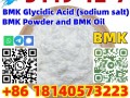 BMK cas 5449-12-7 BMK Glycidic Acid powder