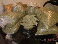Buy Cannabis at the Best Online Dispensary, Signal: +237679774145