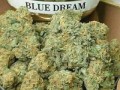 BUY Cannabis Flower Online Dispensary ONLINE Signal: +237679774145