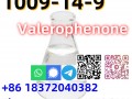 Buy CAS 1009-14-9 Valerophenone 99% purity with best price