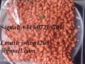 Buy DMT VAPE For Sale DMT Powder lsd mdma online