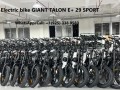 Buy ELECTRIC ; GIANT DELIVERY E+ 25KM/H E-BIKE