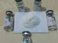 Buy Fentanyl power /Buy Carfentanil powder /Buy Ketamine powder / Buy Isotonitazene / Buy Protonitazene/Buy Alprazolam powder /Buy Etizolam powder /.Telegram…….@chemsolution12