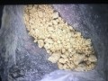 BUY JWH018 POWDER ONLINE +15165440380