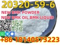 Buy Manufacturer High Quality New Pmk Oil CAS 20320-59-6 with Safe Delivery