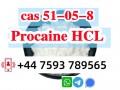 cas 51-05-8 Procaine Hcl Procaine Hydrochloride large stock