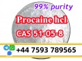 cas 51-05-8 Procaine Hcl Procaine Hydrochloride to holland