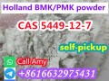 CAS 5449-12-7 BMK Powder bulk price