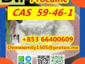 CAS 59-46-1 Procaine China factory supply lower price high purity high quality