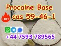 cas 59-46-1 Procaine powder high purity