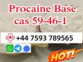 cas 59-46-1 Procaine powder Procaine base high quality