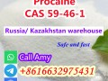 CAS 59-46-1 Procaine with Fast Delivery