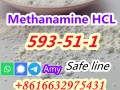 Cas 593-51-1 methylammonium chloride 99