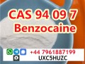 CAS 94097 powder Benzocaine powder supplier