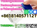 Complete in specifications cas 1009-14-9 Valerophenone