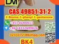 Direct Sales from China Factory CAS 49851-31-2 2-Bromo-1-phenyl-1-pentanone