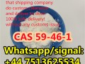 Factory Supply Procain CAS 59-46 Powder in Stock