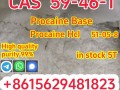 High quality cas 59-46-1 procaine base powder safely delivered to your door