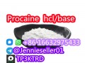 hot sale Procaine base CAS 59-46-1 /51-05-8 / procaine hcl and base in spot stock