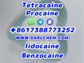 Lidocaine Benzocaine Procaine raw Powder 137-58-6 Factory Price