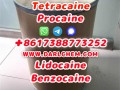 Lidocaine Benzocaine Procaine raw Powder 137-58-6 Top Quality
