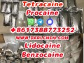 Lidocaine Benzocaine Procaine raw Powder 137-58-6 Wholesale Price