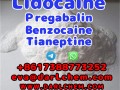 Lidocaine Tianeptine pregabalin raw Powder 137-58-6 China Factory